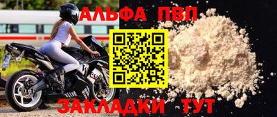 амф Кингисепп