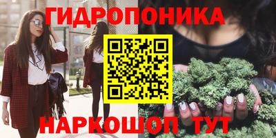 амф Кингисепп