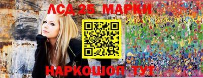 амф Кингисепп