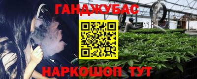 амф Кингисепп