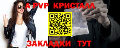 амф Кингисепп