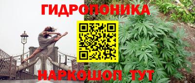 прущая мука Кимры