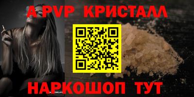 амф Кингисепп