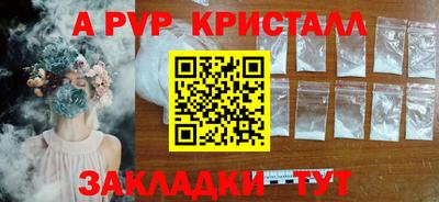 амф Кингисепп