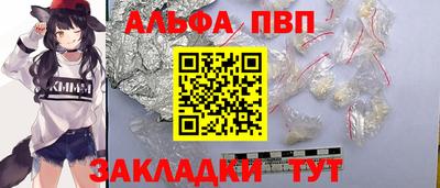 амф Кингисепп