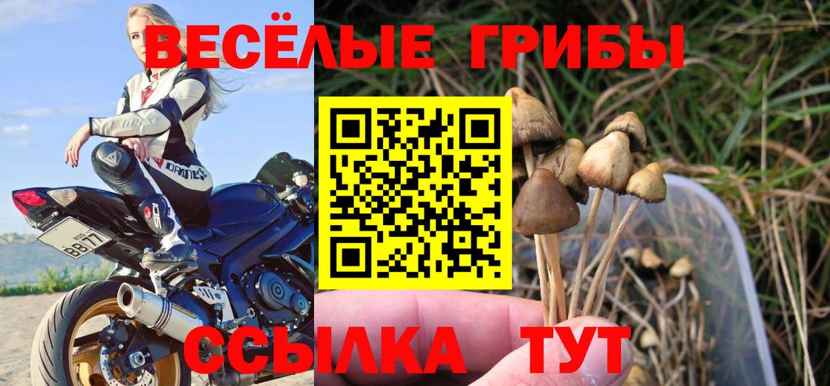 Псилоцибиновые грибы Cubensis  Вход с VPN  Трёхгорный 