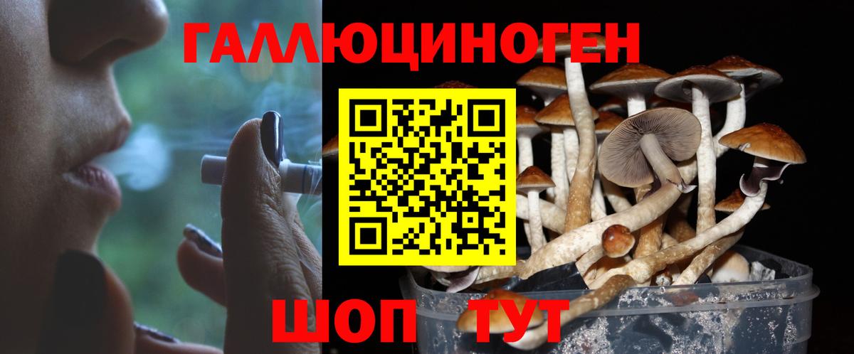 Галлюциногенные грибы ЛСД Трёхгорный